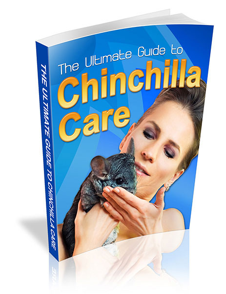 Chinchilla Care Book Cover