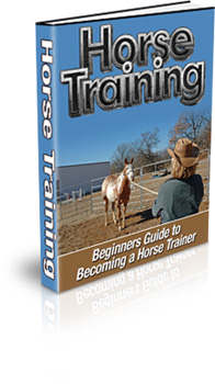 Horse Training Book Cover